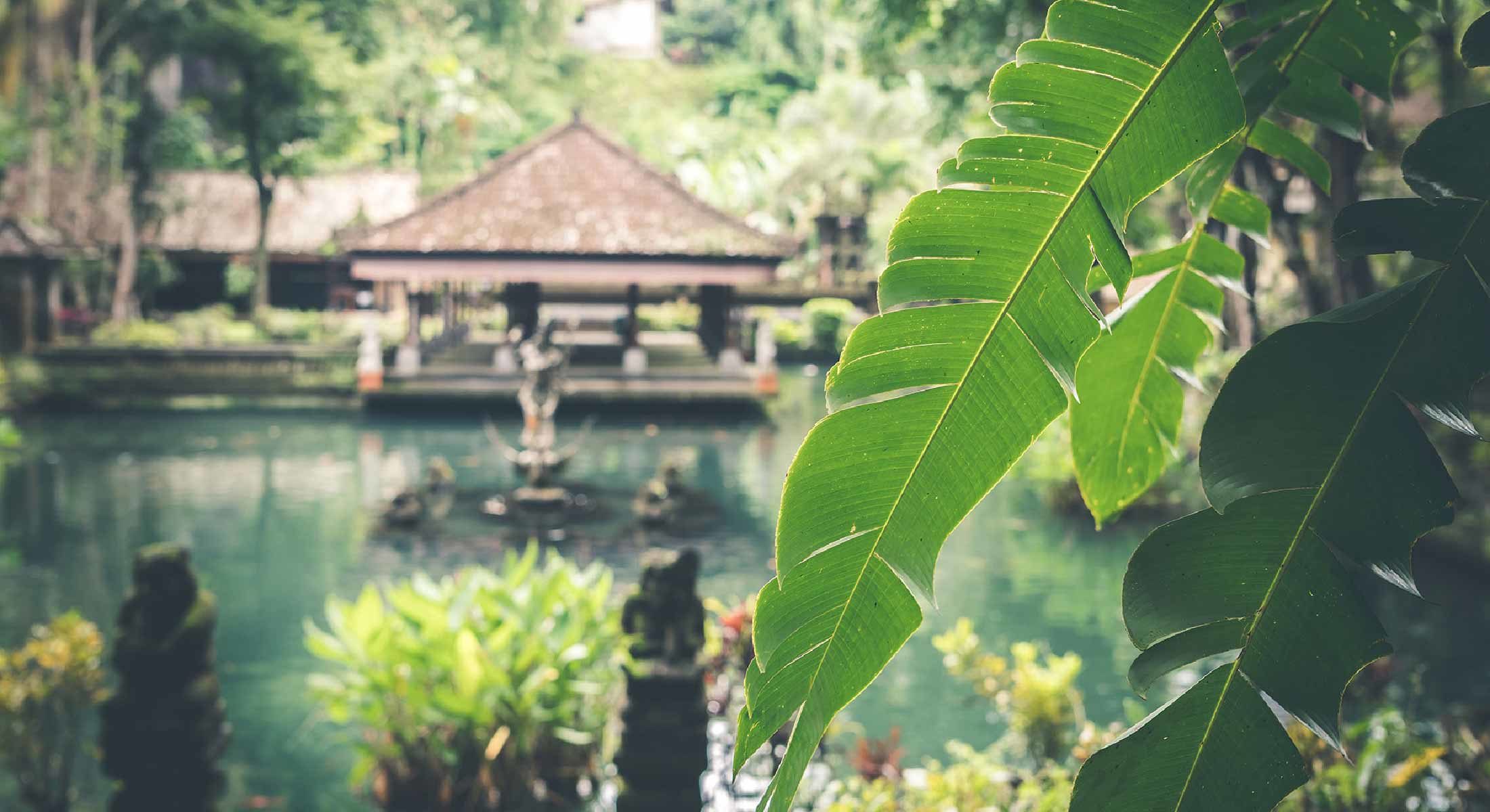 Tropical scene with a pond, temple structure, and lush green foliage.