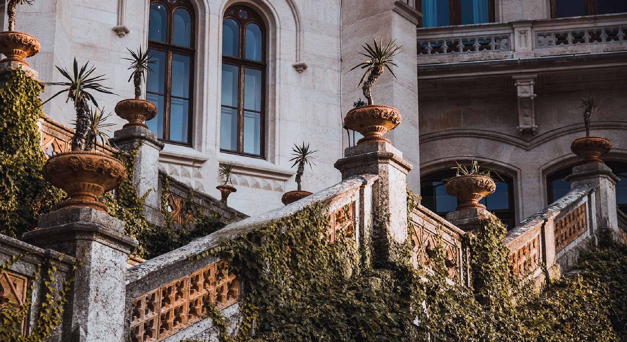 Stone staircase with potted plants and ivy.